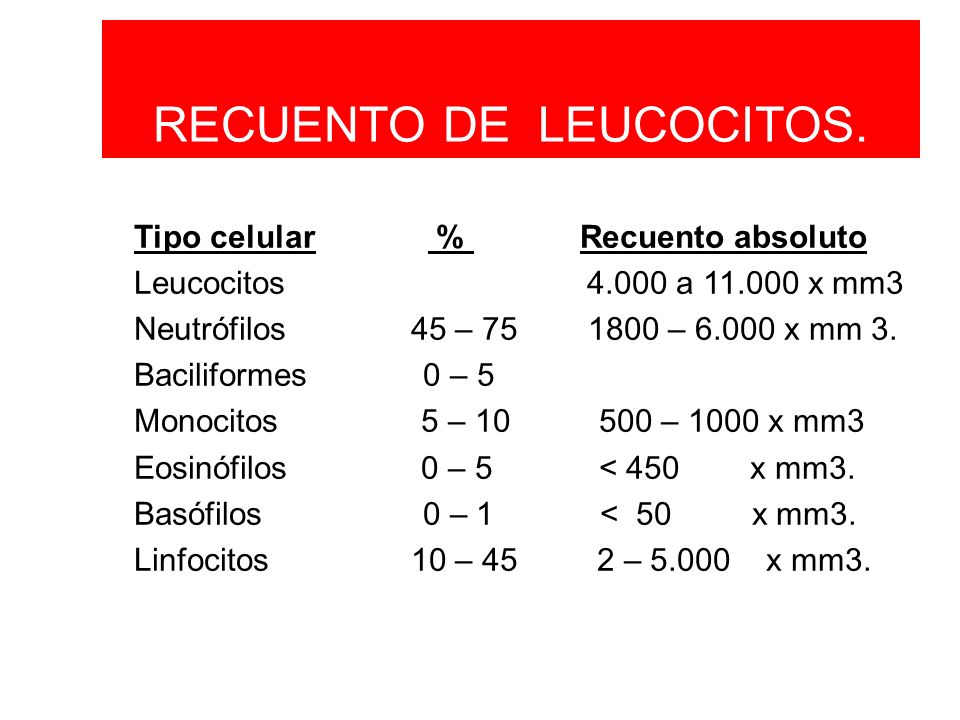 recuento total de leucocitos valores normales recuento total de leucocitos valores normales